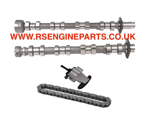 Camshaft chain fit citroen - camshaft,