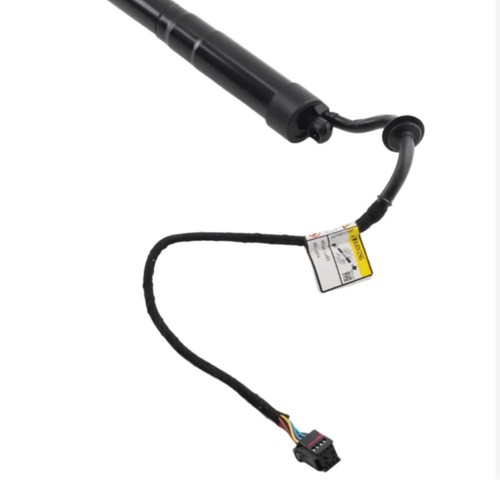 Power hatch lift strut for - power,