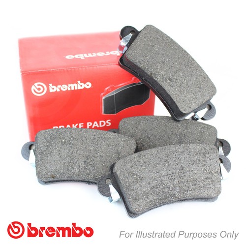 Rear brembo brake - brake, set