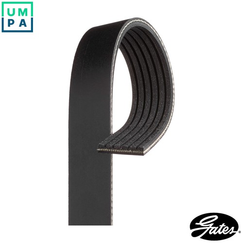Vribbed belt 6pk1029est - belt, for